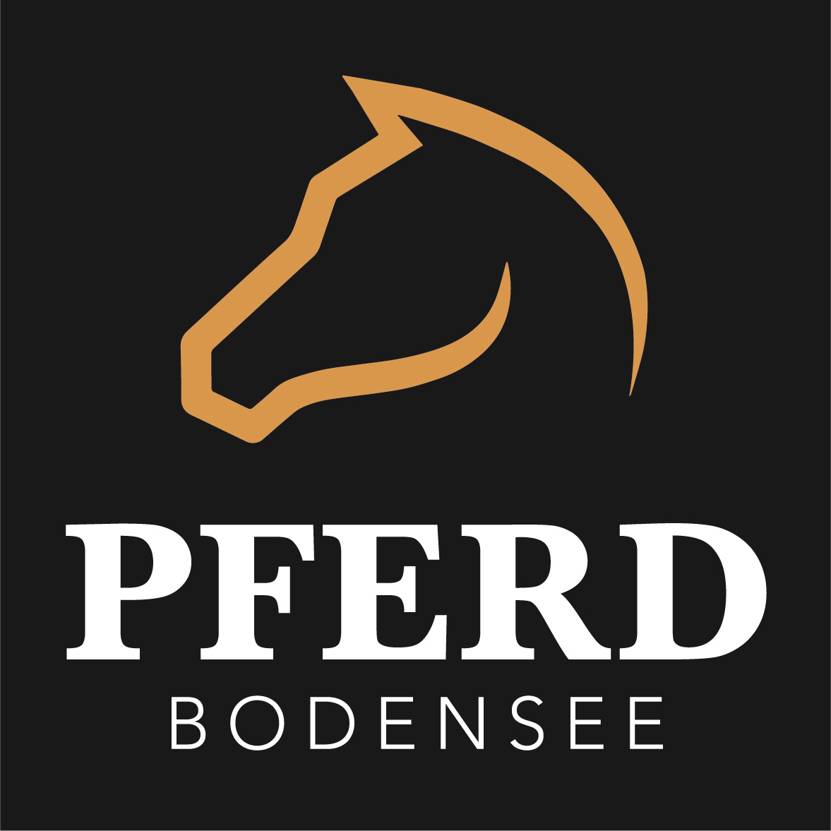 Pferd Bodensee - we are ready!